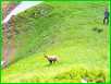 Kliknut�m sa obr�zok zv���
